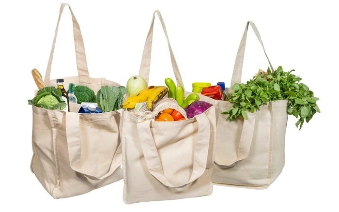 OrganicCottonCanvasToteBags_700x